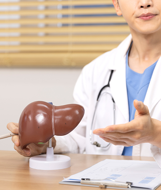 지방간 · 지방간염