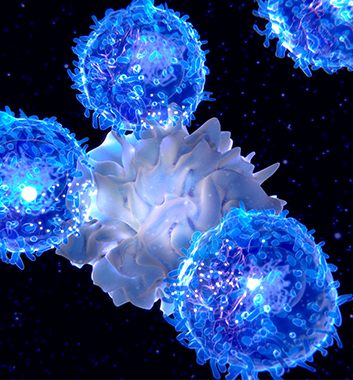 면역 활성화 및 체력 회복