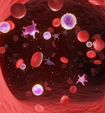 순환 개선 · 회복 촉진